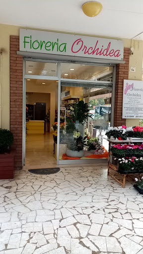 Fioreria Orchidea di Lippi Stefania