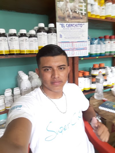 Photos of El Mercado de Bananera