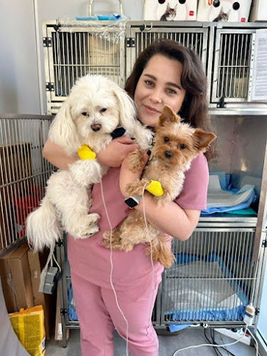 Gabinet weterynaryjny Vets&Pets | Weterynarz Wrocław Śródmieście - Weterynarz