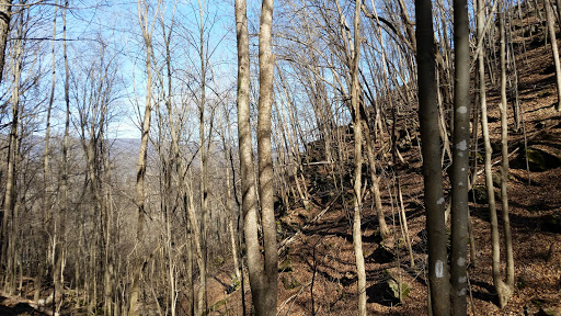 Appalachian Trail Crossing/Parking Pearisburg, VA - Thumbnail
