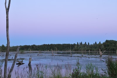 Photos of Marais d'Harchies