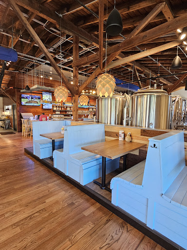 Jekyll Brewing - Visual