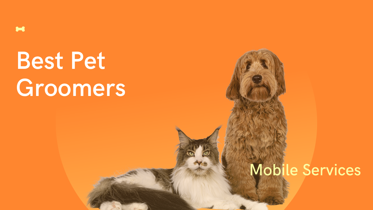 Sunset Mobile Pet Grooming Miami