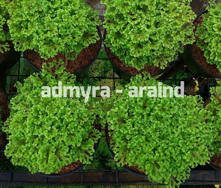 Araind Nursery,taman Permata Buana, Author: Adityas D Susatio