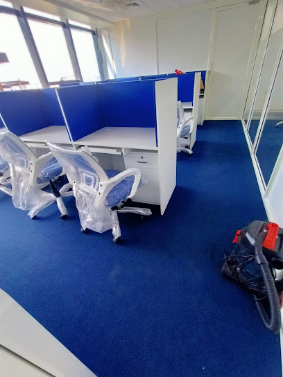 BLUE LADDER HOME SERVICES