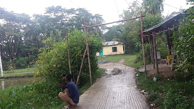 Photos of Barumchara shaheed bashruzzaman High School