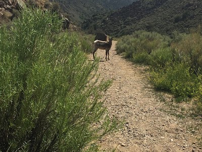 The Slide Trail upper trailhead