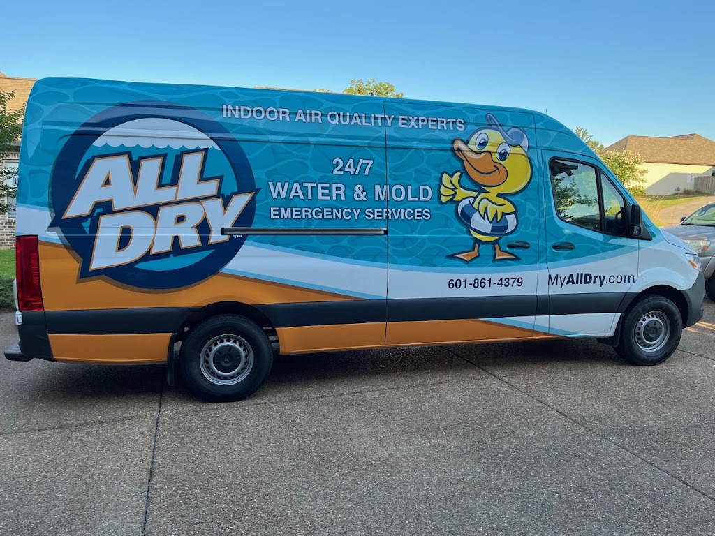 All Dry Services of Central Mississippi photo