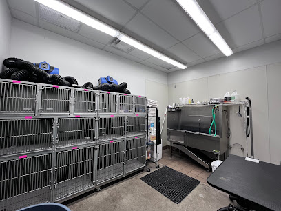 Pet Supplies Plus Camarillo Grooming