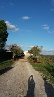 Domaine Nova Solis à Jonquières