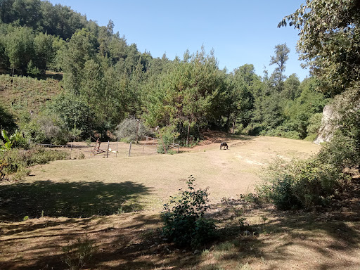 Tlalixtlipa