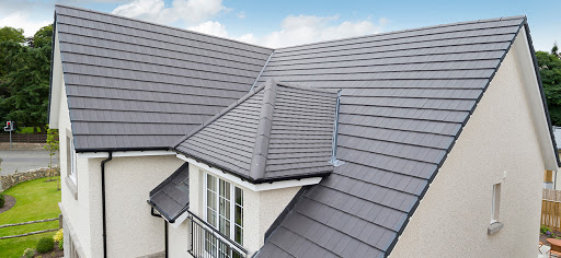 Lime tree roofing - Visual