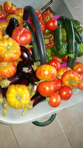 Le petit marché de Fanny