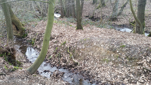 Ostholzbachtal - Thumbnail