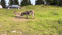 Restaurant Chalet-Neuf Öffnungszeiten