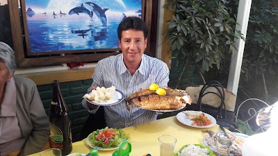 Photos of Restaurante El Disco pescados