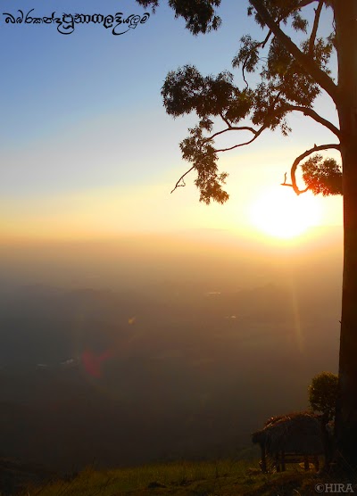 Photos of Pilkington point view