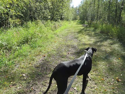 Photos of Hill Top Kennels