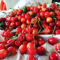 大泉逸郎さくらんぼ農園