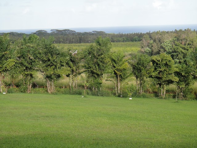 Hawaiʻi Volcanoes National Park