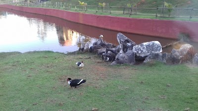 Photos of Thermas Water Park