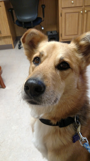Hoosick Veterinary Clinic - Thumbnail