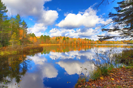 Tammi Lane Realtor - United States