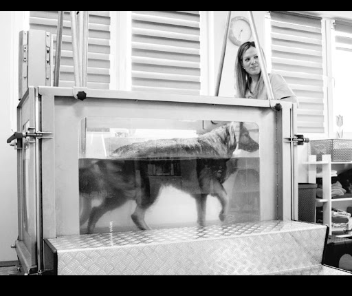 Photo de Canino terre Happy à Cormeilles (27260)