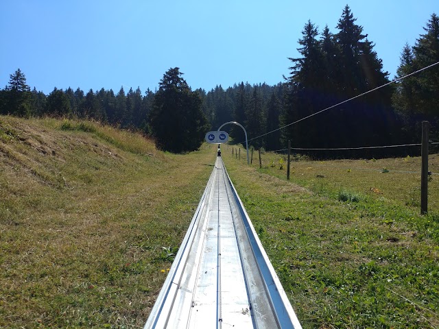 Luge d'été