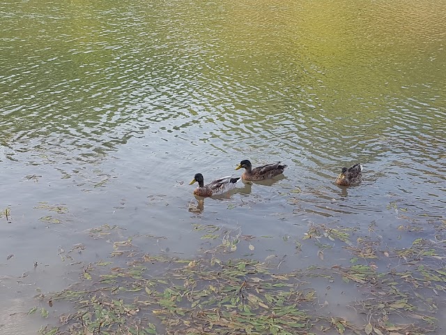 Parc Aquaviva