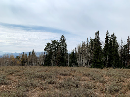 Bridger Peak Trailhead - Thumbnail