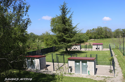 Photo de Yakari Services Animaux à Saint-Brice-sur-Vienne (87200)
