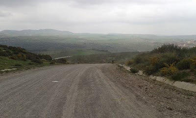 Photos of The National Reserve Of Bni Gorfett
