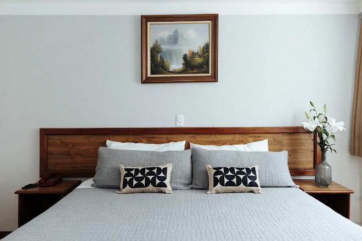 Hotel Don Simón by null