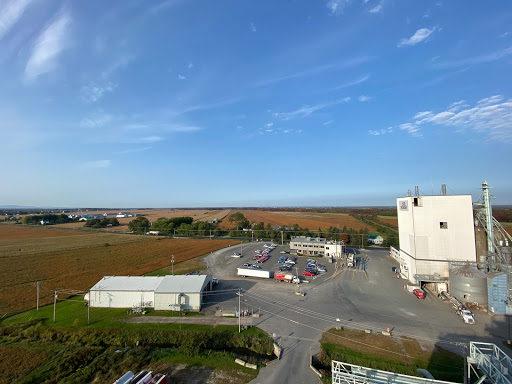 Agri-Marché - Thumbnail