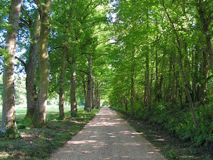 Photo n°50 de Domaine de Joreau à Gennes-Val-de-Loire (Hôtel)