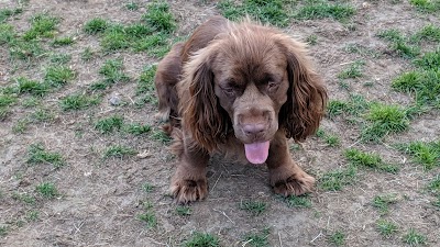 Portsmouth RI Dog Park