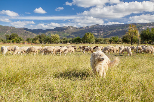 Agriturismo I Mandorli - Thumbnail