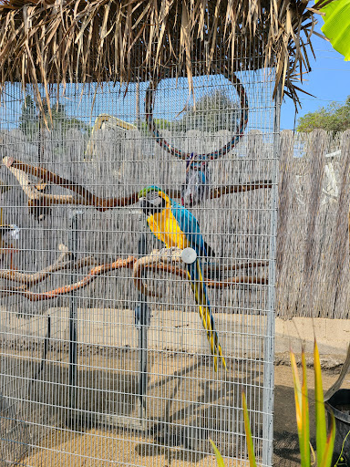 Santa Barbara Bird Sanctuary Gallery - United States