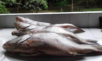 Photos of Restaurante Esmeralda. Bahia Cispata