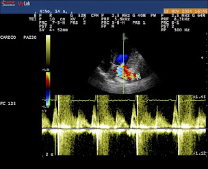 Photo n°16 de Clinique Vétérinaire du Kreiz Breizh à Rostrenen (Clinique vétérinaire)