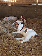 La Ferme de L' Aune à Voiron