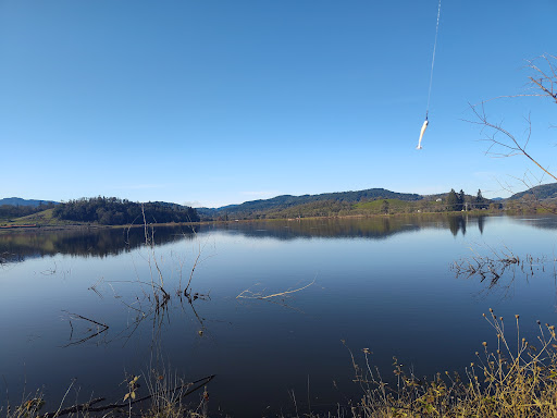 Ford Pond