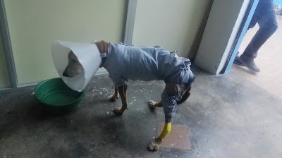 Photos of Emergencias Veterinarias Del Tolima