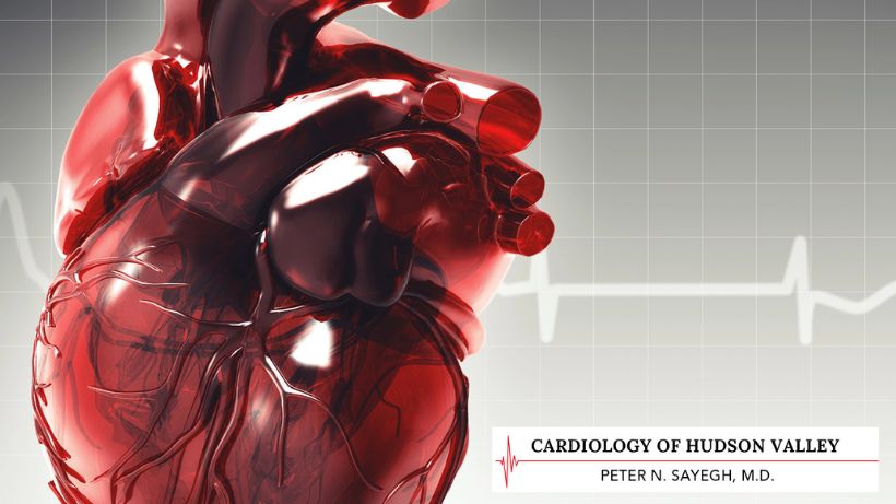 Cardiology Of Hudson Valley Peter N Sayegh M D