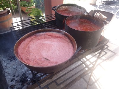 Photos of La Casa de Tingui