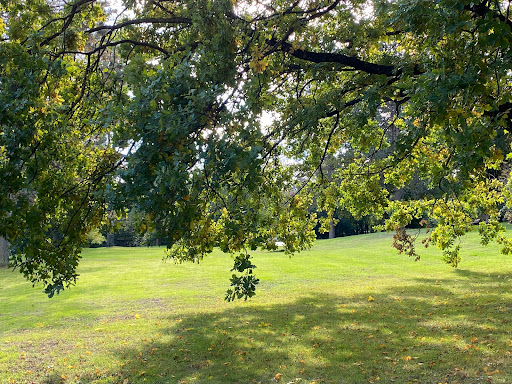Golfclub Am Harrl e.V. Bad Eilsen/Bückeburg - Thumbnail
