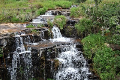 Photos of Cumberland Nature Reserve