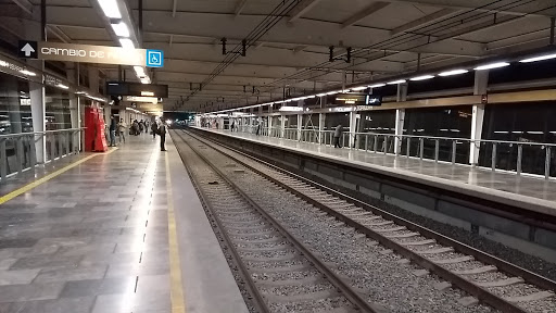 Nopalera - Visual