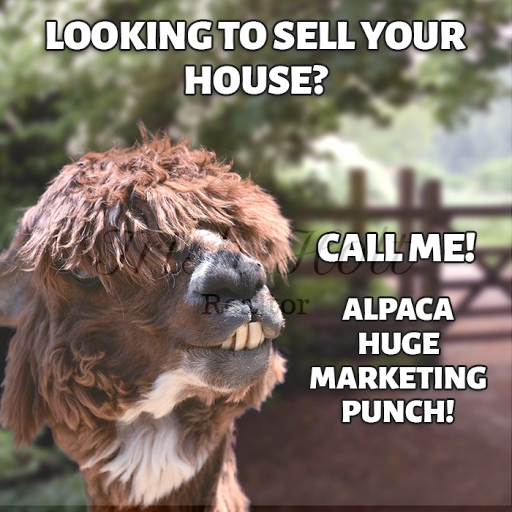 Trish Holt ~ Realtor ~ Clear Choice Enterprises - Thumbnail